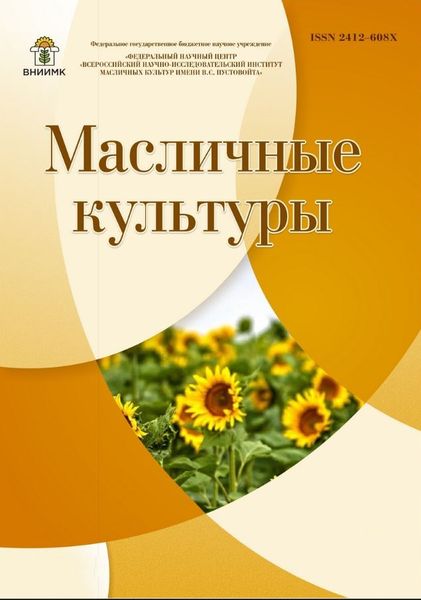 Масличные культуры