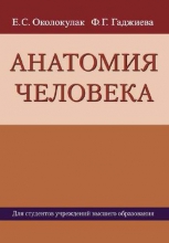 Анатомия человека