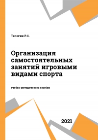 Организация самостоятельных занятий игровыми видами спорта