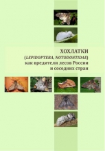 Хохлатки (Lepidoptera, Notodontidae) как вредители лесов России и соседних стран Хохлатки (Lepidoptera, Notodontidae) как вредители лесов России и соседних стран