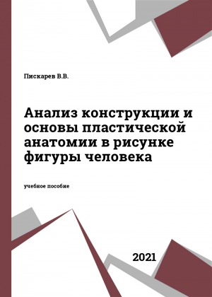 Анализ конструкции и основы пластической анатомии в рисунке фигуры человека Анализ конструкции и основы пластической анатомии в рисунке фигуры человека