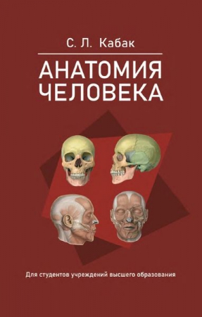 Анатомия человека