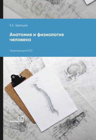 Анатомия и физиология человека Анатомия и физиология человека