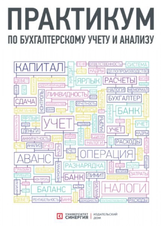 Практикум по бухгалтерскому учету и анализу
