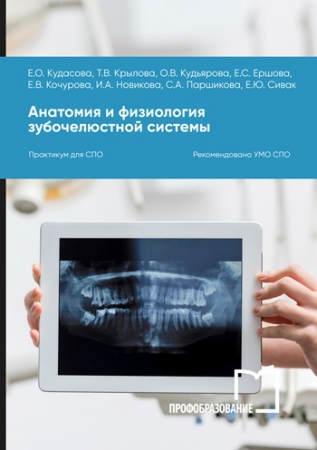 Анатомия и физиология зубочелюстной системы Анатомия и физиология зубочелюстной системы