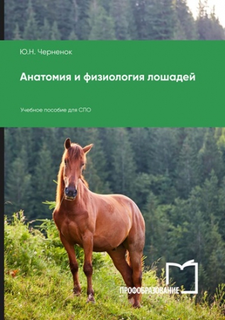 Анатомия и физиология лошадей Анатомия и физиология лошадей